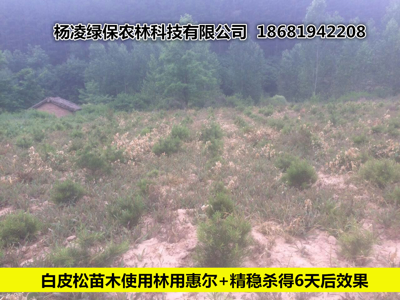 ���ûݠ����݄�ʹ��Ч���D