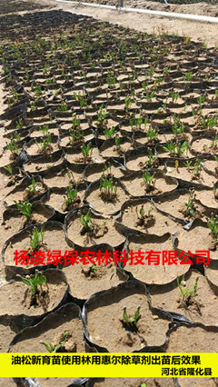 ����������ʹ�����ûݠ�Ч���D