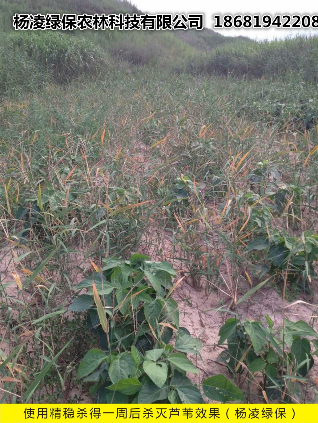 ����(w��n)���ó��݄�ʹ��Ч��