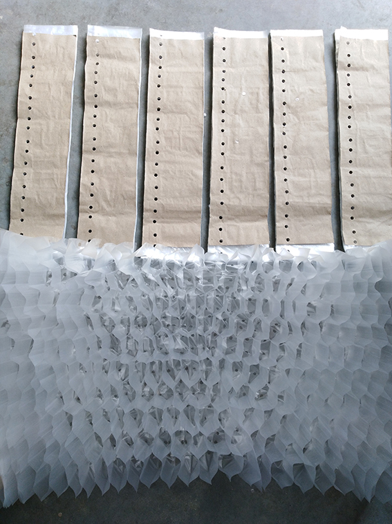 ��C�I�B��